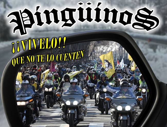 No hay imagen disponible de ¡¡NOTICIA!!